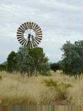 Queensland windmill