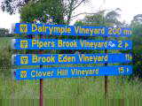 The Wine route
