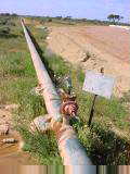 Pipeline with water spigot
