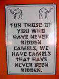 Sign at camel farm