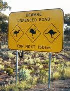 Watch for camels, emus and kangaroos